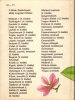 Dr. Sulyok Mária: Trópusi orchideák