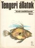 Dr. Pénzes Bethen: Tengeri állatok 2.